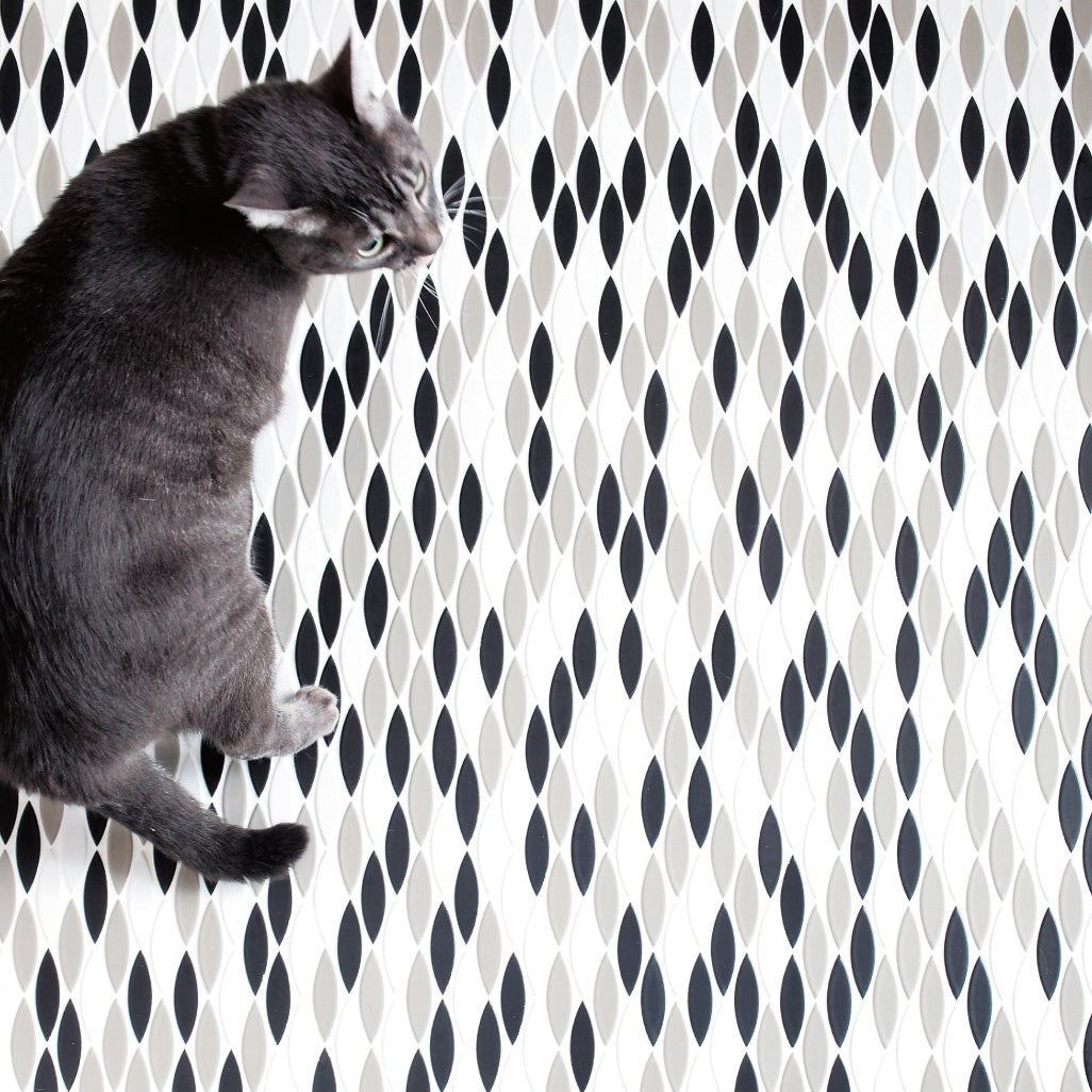 Shop Cepac Cats Eye PF-01 Gloss White | Artistic Tile & Stone