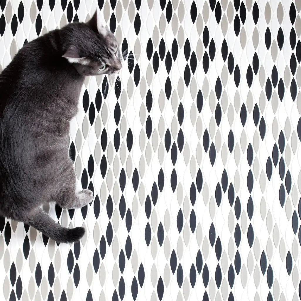 Cats Eye PF-01 Gloss White