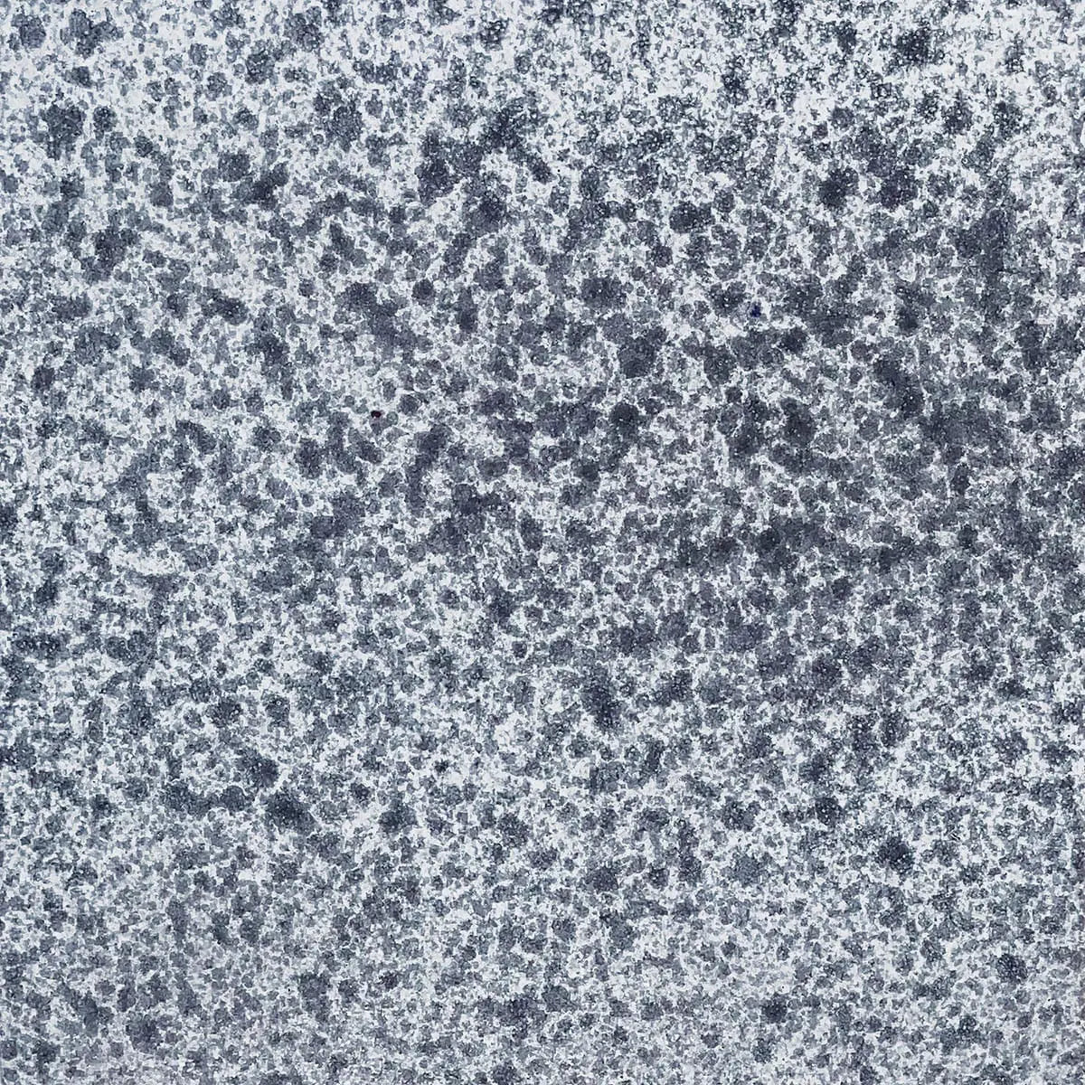 Shop Tabarka Motiff Speckles Black 6x6 | Artistic Tile & Stone