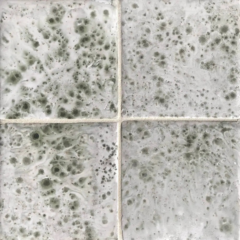 Shop Bauer Foresta 6 x 6 |   Artistic Tile & Stone