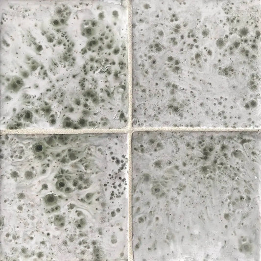 Shop Bauer Foresta 6 x 6 |   Artistic Tile & Stone