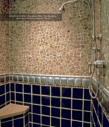 Random Beige & Tan Marble Mix 12x12 